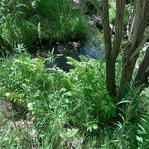 Meet your Posher, Sharon